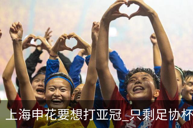 上海申花要想打亚冠 只剩足协杯夺冠一条路
